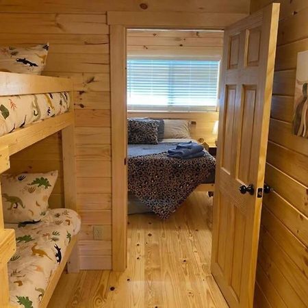 Serene 1Br Cabin Near Nc Z00 With Loft & Waterview Asheboro Exterior photo